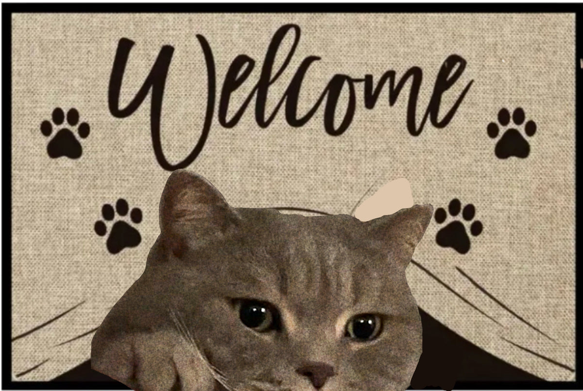 c2399976588c3a3cced0fc4c8f86e5a6