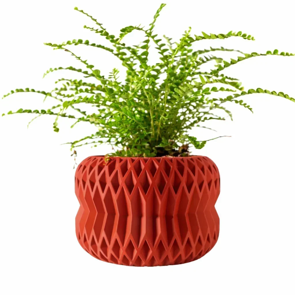 Biodegradable 3D Printed Plant Pot for Home Decor
