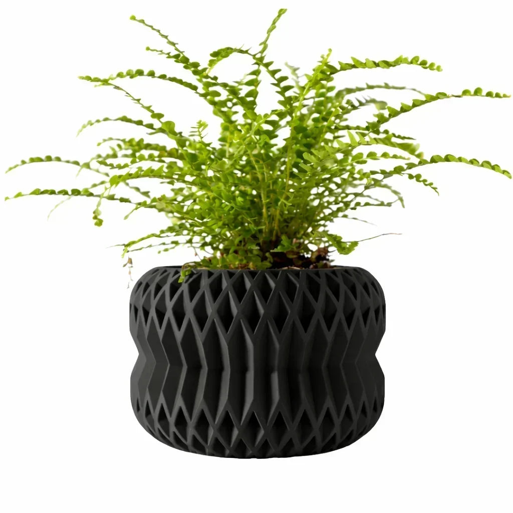 Biodegradable 3D Printed Plant Pot for Home Decor
