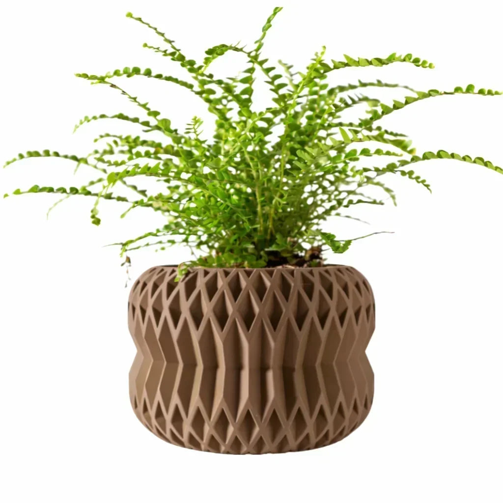 Biodegradable 3D Printed Plant Pot for Home Decor