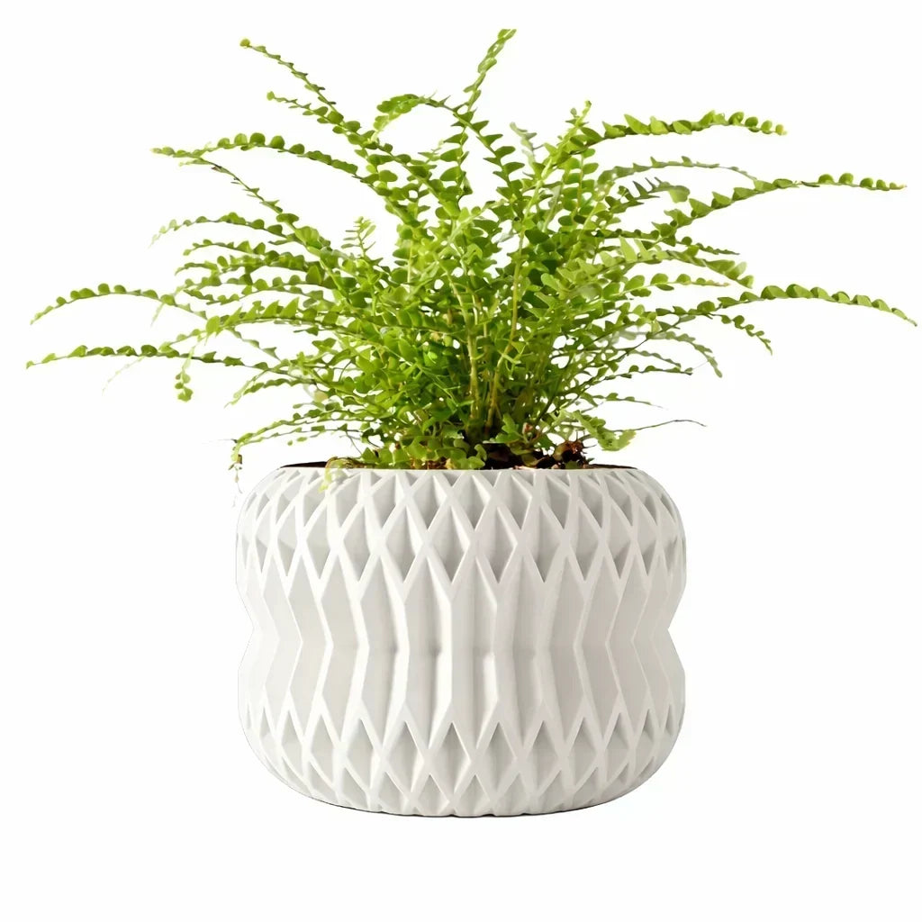 Biodegradable 3D Printed Plant Pot for Home Decor