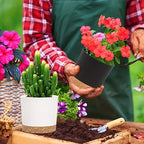 Indoor Plastic Planters with Drainage Holes and Saucer
