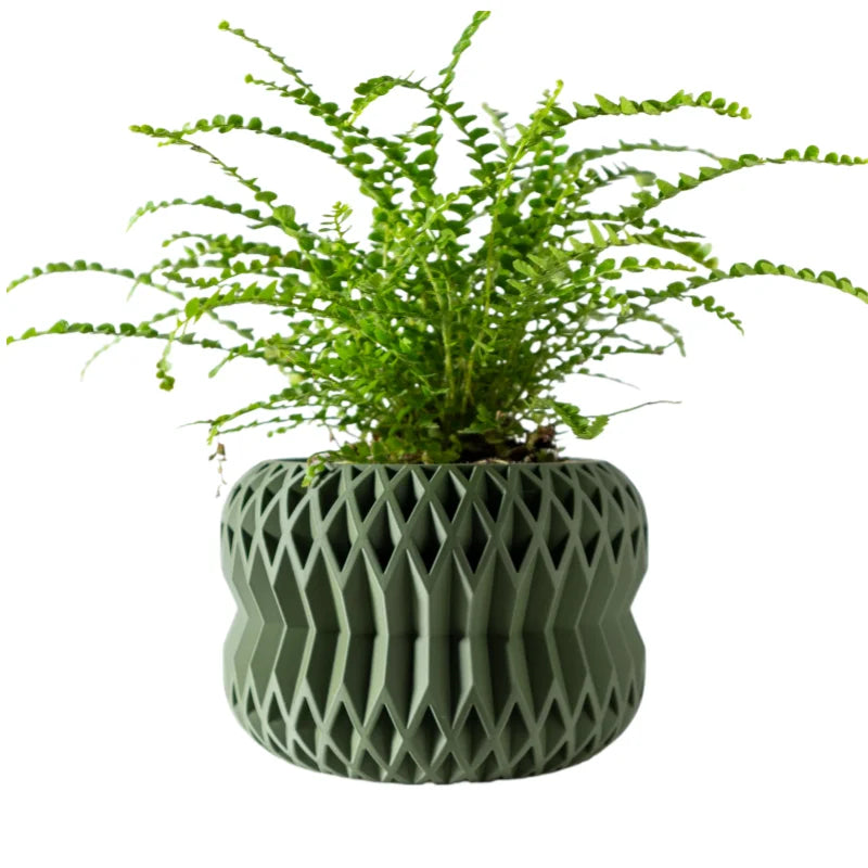 Biodegradable 3D Printed Plant Pot for Home Decor