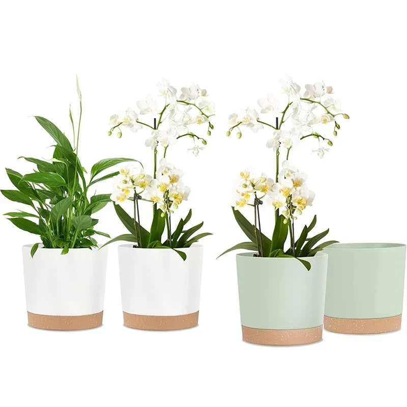 Indoor Plastic Planters with Drainage Holes and Saucer