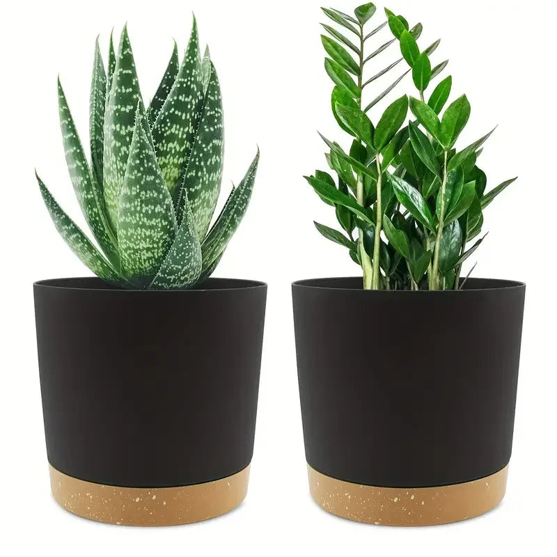 Indoor Plastic Planters with Drainage Holes and Saucer