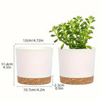 Indoor Plastic Planters with Drainage Holes and Saucer