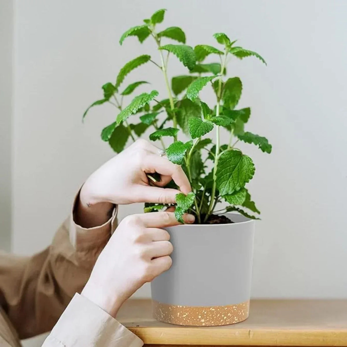 Indoor Plastic Planters with Drainage Holes and Saucer