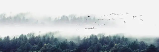Lake Forest Mountain Canvas Painting Wall Art Decor