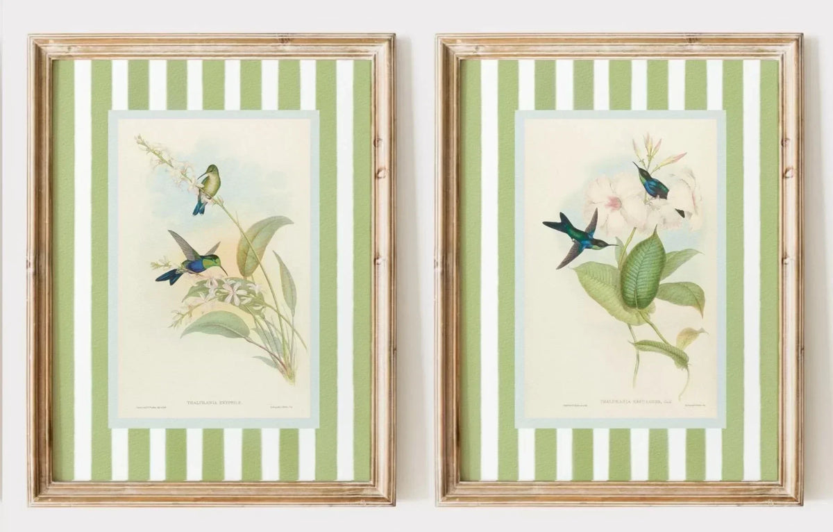 Retro Hummingbird Canvas Prints for Home Decor