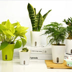 Self Watering Plastic Flower Pot in White