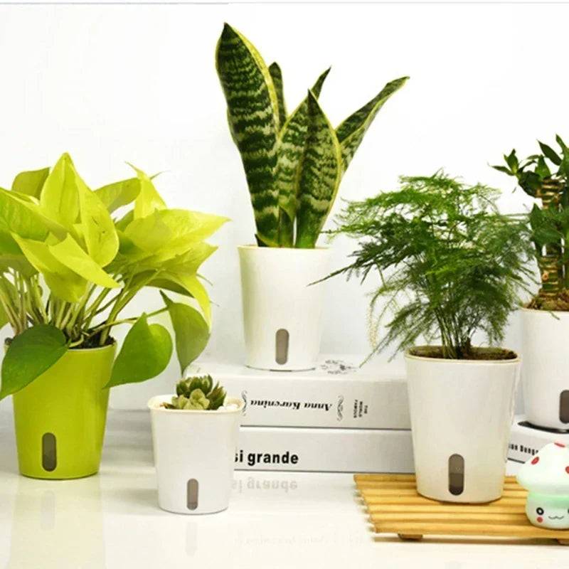 Self Watering Plastic Flower Pot in White